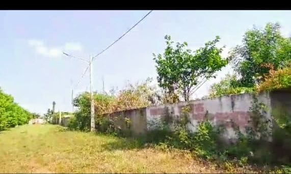 Terrain de 4250 m² à Yamoussoukro – Quartier Millionnaire, face aux sapeurs-pompiers