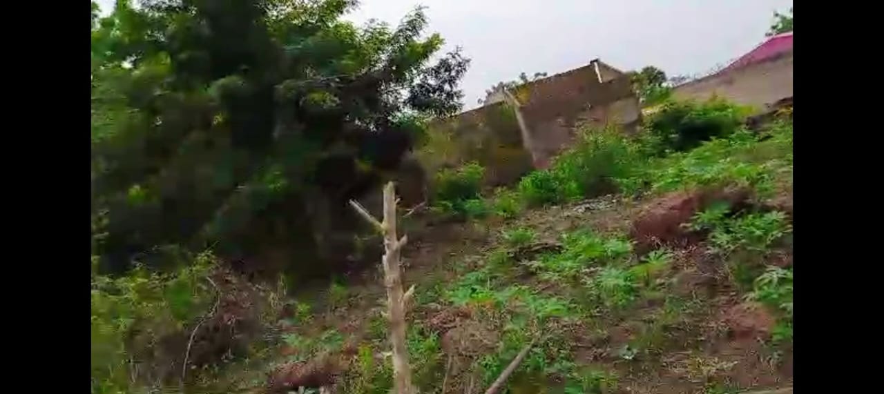 Terrain de 600 m² à Yamoussoukro – Quartier Château (zone urbaine)